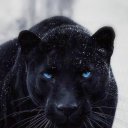 Clarkx adlı kullanıcı